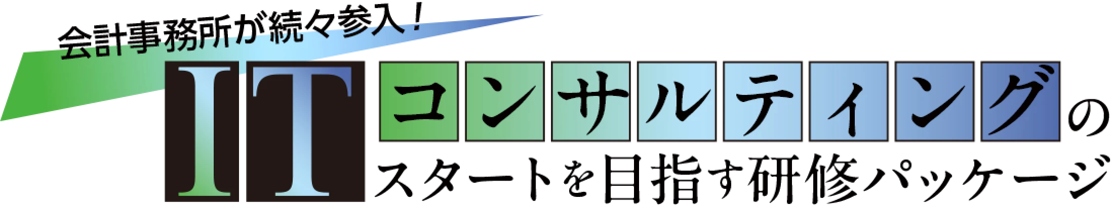 ITコンサルティングのスタートを目指す研修パッケージ